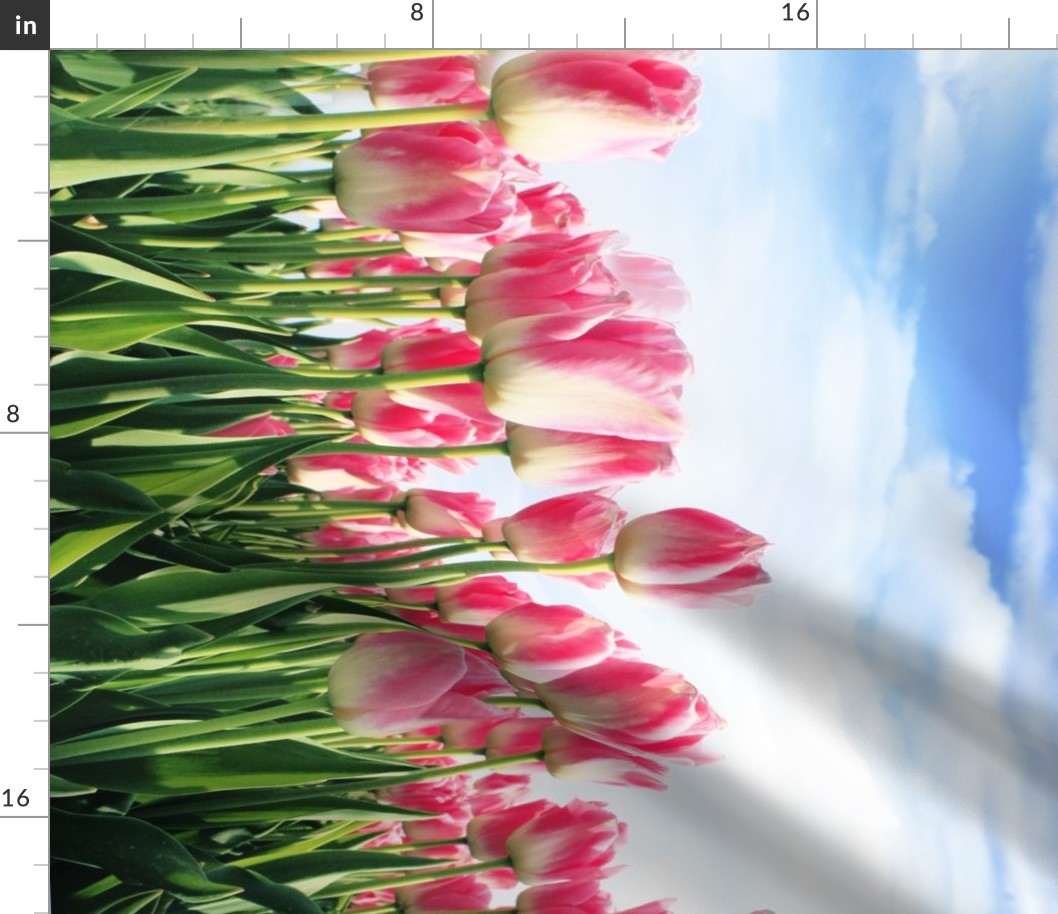 Pink Tulip Border Print fabric Blue Cloudy sky