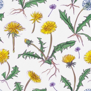 Floral pattern of sketchy dandelions (jumbo pattern)