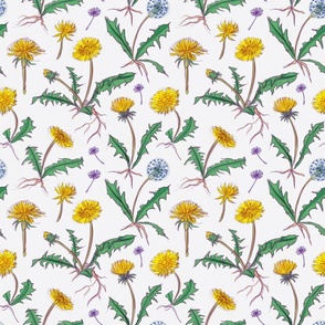 Floral pattern of sketchy dandelions (small version)