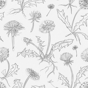 Floral pattern of sketchy pencil dandelions (jumbo version)