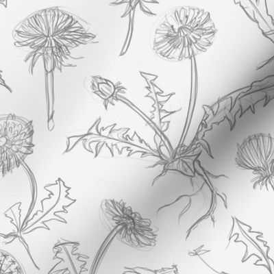 Floral pattern of sketchy pencil dandelions (small version)