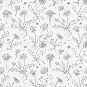 Floral pattern of sketchy pencil dandelions (small version)