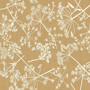 Field of Queen Anns Lace burlap