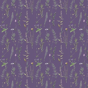 Green weeds in violet garden 