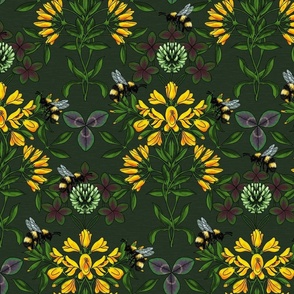 Trifolium - In the Weeds