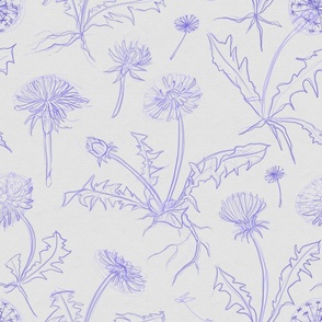 Floral pattern of sketchy ball point pen dandelions (jumbo version)