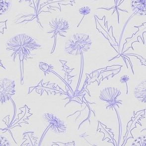 Floral pattern of sketchy ball point pen dandelions (normal size version)