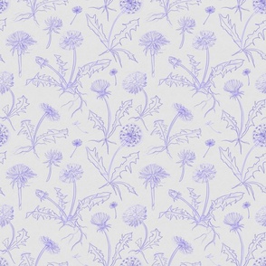 Floral pattern of sketchy ball point pen dandelions (small version)