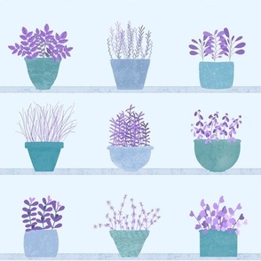 Window Garden - purple teal