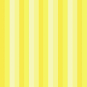 yellow stripes