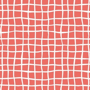Hand drawn net on red - medium