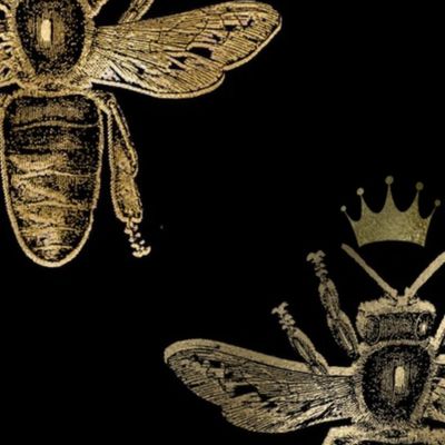 queen bee on black