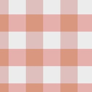 Picknick Plaid / medium scale / coral pink soft pink geometric simple pattern