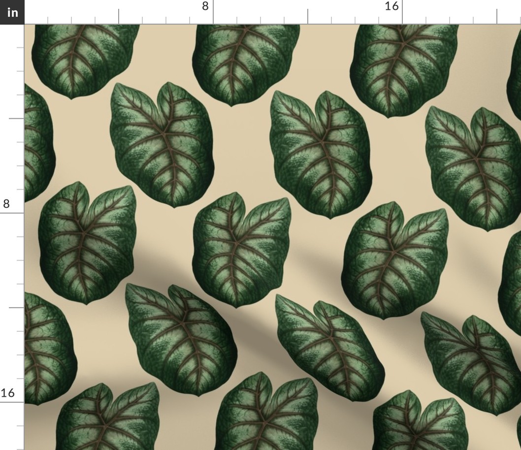  Tropical Jungle Monstera Leaf