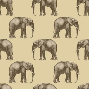 Elephant Animal Pattern Safari Pattern African Elephant