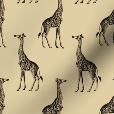 Giraffe Animal Pattern Safari Pattern African 