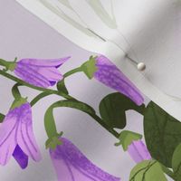 Creeping Bellflower - Purple Background