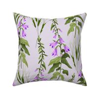 Creeping Bellflower - Purple Background