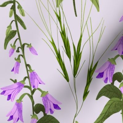 Creeping Bellflower - Purple Background