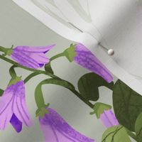 Creeping Bellflower - Green Background