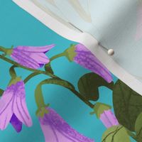 Creeping Bellflower - Turquoise Background