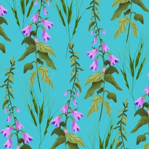 Creeping Bellflower - Turquoise Background