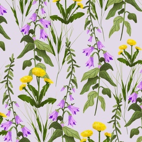 Creeping Bellflower and Dandelion - Purple Background