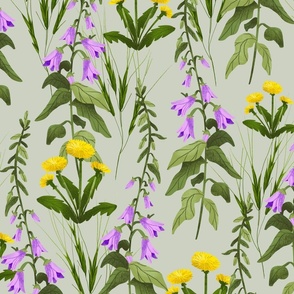 Creeping Bellflower and Dandelion - Green Background