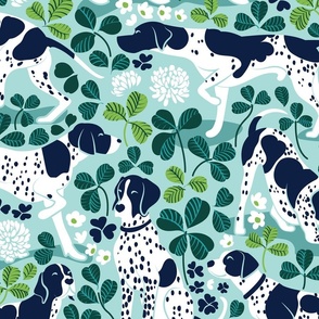 Large jumbo scale // Looking for the four leaf clover // aqua background oxford navy blue English Pointer dog breed green leaves white clover flowers