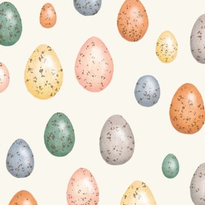 Birds eggs