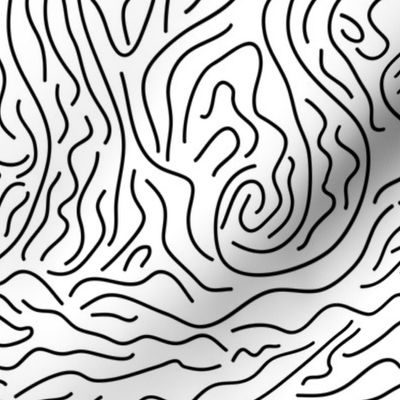 Random Hand Drawn Abstract Lines Black and White