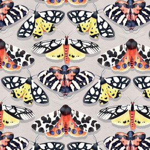 Tiger Moths on Paper Textured Color - light grey 