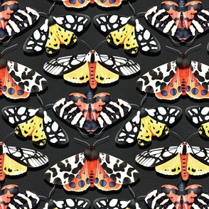 Tiger Moths on Paper Textured Color - black 