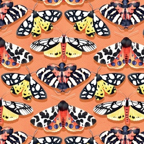 Tiger Moths on Paper Textured Color - orange 