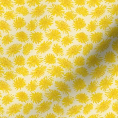 Dandelions flower// Blooming flowers Wild Spring Sunny Yellow Creme Background // Medium scale