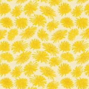 Dandelions flower// Blooming flowers Wild Spring Sunny Yellow Creme Background // Medium scale