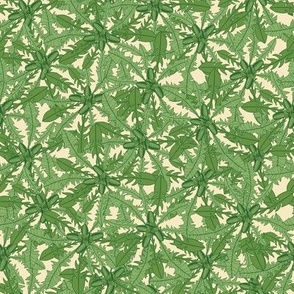 Dandelions leaves // Wild Greenery Line Art Creme Background // Normal scale