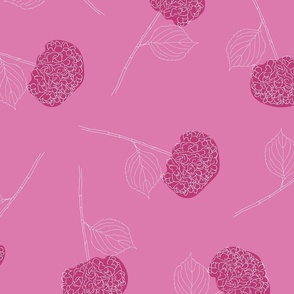 hydrangea garden party - bubblegum pink