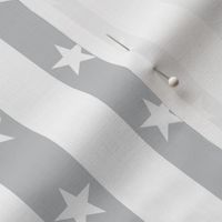 Star on Silver Grey Stripe, Small Scale, July 4th, USA Patriotic