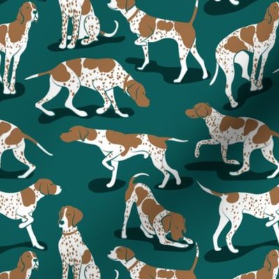 Small scale // English Pointer friends // mosque green background bronze brown dog breed