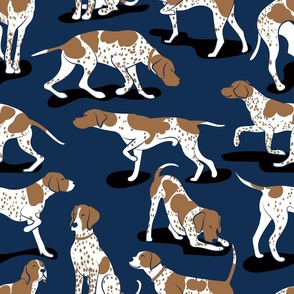 Normal scale // English Pointer friends // midnight navy blue background bronze brown dog breed