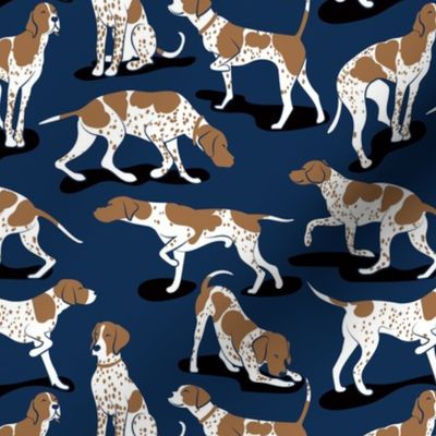 Small scale // English Pointer friends // midnight navy blue background bronze brown dog breed