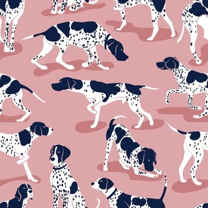 Normal scale // English Pointer friends // blush pink background oxford navy blue dog breed
