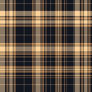 Plaid 2a in faded  oranges and black 200