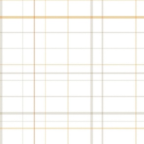 Plaid 14 2d in faded oranges_white and warm grey 200