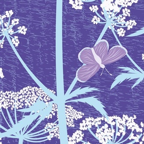 Queen Anne's lace  - dark purple - 500 pixels