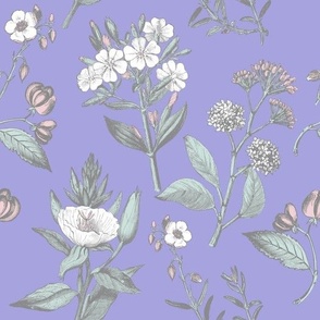 Med Pastel Toile on Violet