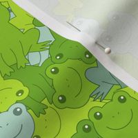 Quirky Amphibians - Camouflage