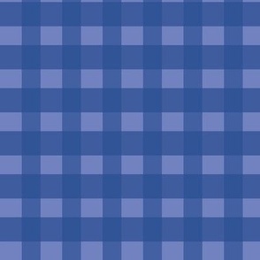 Blue Lilac Gingham | Lg.