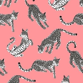 Simple Jaguar Illustration - Pink and Grey - Medium Scale